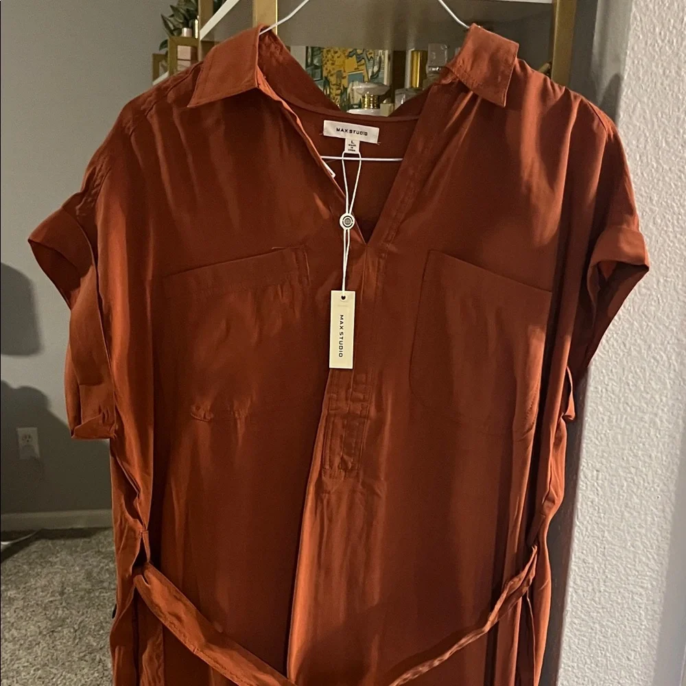 Max Studio Rust Dress - Picture 1 of 2